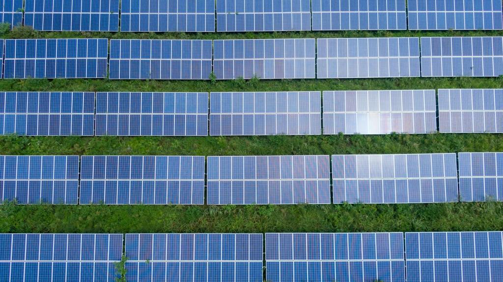 Are You Considering Solar Panels for Your UK Home? Here’s Everything You Need to Know